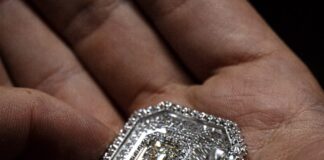 Janelle Monáe sparkled as 1800 Tequila Unveils First Tequila Diamond